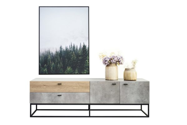 Sally Entertainment  Unit