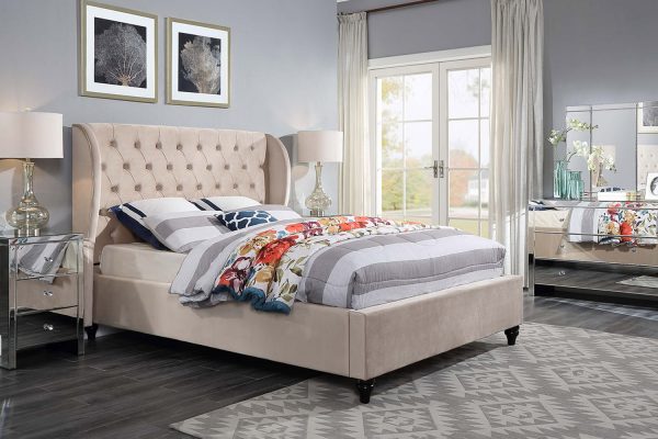 Coco A Velvet Fabric Bed  Standard / Gas Lift , Grey / Cream -- Q, K