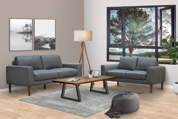 Jamison 2 seater / 3 seater  Leather Lounge