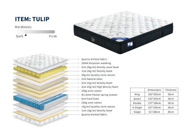 TULIP Latex Pillow Top Mattress M Firm  36 cm -- D , Q , K - Image 2